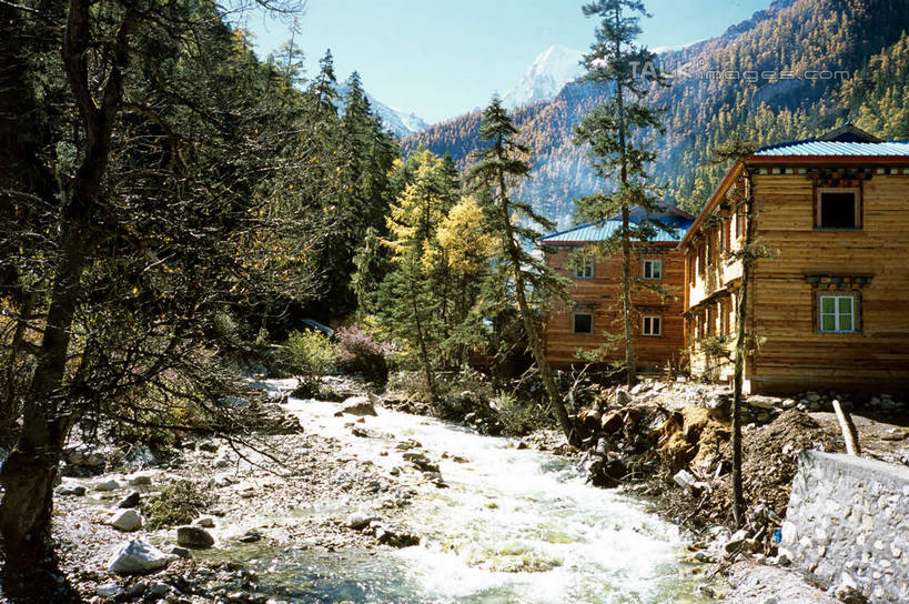 无人,家,木屋,横图,室外,白天,正面,旅游,度假,美景,森林,树林,雪,植物,大雪,中国,亚洲,阴影,光线,影子,积雪,景观,雪景,冬季,冬天,娱乐,住宅,树,树木,蓝色,绿色,蓝天,天空,阳光,自然,天,享受,休闲,景色,放松,寒冷,四川省,生长,晴朗,成长,自然风光,东亚,四川,稻城,亚丁,甘孜藏族自治州,万里无云,中华人民共和国,西南地区,严寒,川,甘孜,甘孜州,晴空,晴空万里,彩图,茅舍,茅屋,棚屋,小木屋,小屋,稻城县,稻城亚丁,亚丁风景区,shcm1