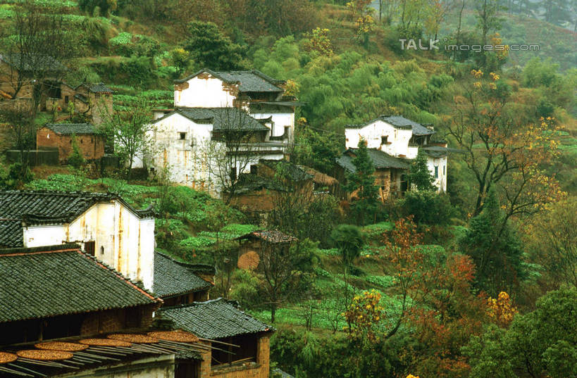 无人,家,横图,俯视,室外,白天,旅游,度假,美景,树林,植物,建筑,中国,亚洲,瓦片,房屋,屋顶,屋子,景观,顶棚,瓦,娱乐,江西,婺源,楼房,住宅,树,树木,绿色,自然,享受,休闲,景色,放松,建造,生长,成长,自然风光,东亚,屋瓦,江西省,中华人民共和国,华东地区,赣,婺源县,上饶,上饶市,彩图,高角度拍摄,房子,shcm1