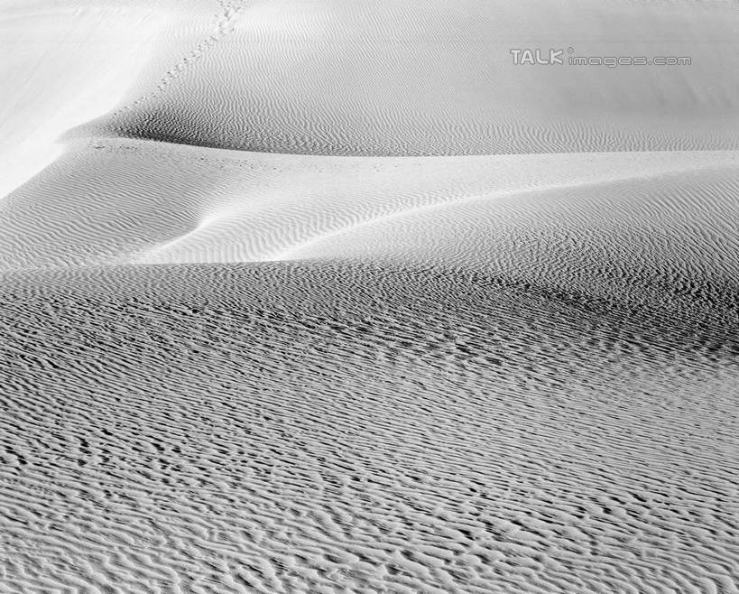 无人,横图,黑白,室外,白天,正面,旅游,度假,美景,沙漠,中国,亚洲,阴影,光线,纹路,纹理,影子,景观,娱乐,阳光,自然,享受,休闲,景色,放松,自然风光,东亚,新疆,塔克拉玛干沙漠,塔里木,肌理,中华人民共和国,新疆维吾尔自治区,西北地区,塔克拉玛干,塔克拉玛干大沙漠,塔里木盆地,大漠,砂漠,新,shcm1
