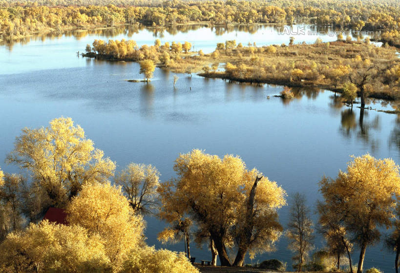 无人,横图,俯视,室外,白天,旅游,度假,湖,湖泊,美景,森林,树林,水,植物,中国,亚洲,阴影,波纹,光线,影子,湖面,景观,水流,水面,涟漪,娱乐,树,树木,绿色,倒影,水纹,阳光,自然,波浪,湖水,享受,休闲,景色,放松,生长,成长,倒映,自然风光,东亚,新疆,轮台县,中华人民共和国,水晕,新疆维吾尔自治区,西北地区,巴音郭楞,巴音郭楞蒙古自治州,反照,彩图,高角度拍摄,新,shcm1