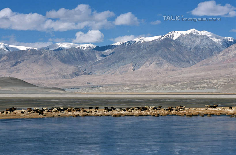 无人,横图,室外,白天,正面,旅游,度假,湖,湖泊,石头,美景,山,水,雪,雪山,大雪,中国,亚洲,阴影,波纹,光线,石子,影子,冰,湖面,积雪,景观,山峰,水流,水面,雪景,云,云朵,冬季,冬天,涟漪,山峦,云彩,娱乐,蓝色,白云,倒影,蓝天,水纹,天空,阳光,自然,波浪,湖水,天,享受,休闲,景色,放松,寒冷,晴朗,冰冷,倒映,自然风光,东亚,新疆,白沙湖,阿勒泰地区,伊犁,中华人民共和国,水晕,严寒,冰凉,酷寒,凛冽,凛凛,极冷,新疆维吾尔自治区,西北地区,伊犁哈萨克自治州,反照,石块,岩石,晴空,彩图,哈巴河,哈巴河县,新,shcm1