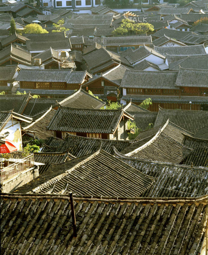 无人,家,竖图,俯视,室外,白天,旅游,度假,名胜古迹,植物,标志建筑,地标,建筑,丽江,中国,亚洲,阴影,遗迹,光线,瓦片,影子,房屋,屋顶,屋子,顶棚,瓦,古迹,文物,娱乐,建设,古建筑,楼房,云南,住宅,树,树木,绿色,阳光,自然,享受,休闲,旅游胜地,放松,建造,生长,成长,古文明,东亚,屋瓦,云南省,丽江古城,中华人民共和国,西南地区,滇,丽江市,彩图,高角度拍摄,房子,大研古城,丽江古镇,shcm1