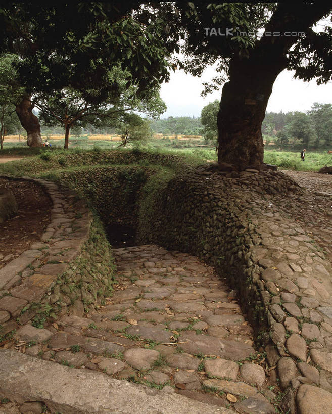 无人,竖图,室外,白天,正面,旅游,度假,草地,草坪,美景,植物,道路,路,中国,亚洲,景观,小路,交通,娱乐,浙江,草,树,树木,浙江省,绿色,天空,自然,天,享受,休闲,景色,放松,乡间小路,生长,成长,自然风光,东亚,苍坡村,永嘉,岩头镇,中华人民共和国,华东地区,浙,温州,温州市,彩图,永嘉县,shcm1