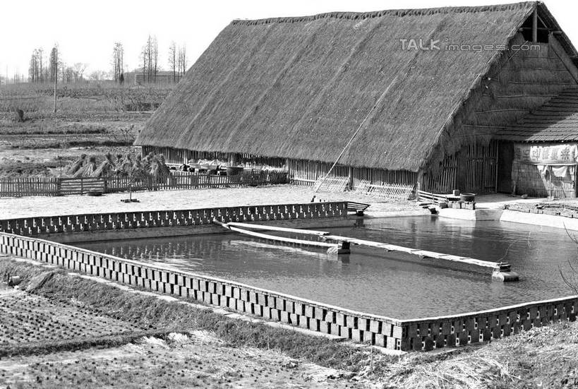 无人,家,木屋,横图,黑白,室外,白天,正面,旅游,度假,美景,植物,中国,亚洲,景观,娱乐,浙江,住宅,树,树木,浙江省,天空,自然,天,享受,休闲,景色,放松,生长,成长,自然风光,东亚,桐乡,中华人民共和国,华东地区,浙,嘉兴,嘉兴市,桐乡市,茅舍,茅屋,棚屋,小木屋,小屋,shcm1