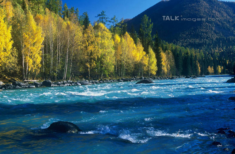 无人,横图,室外,白天,正面,旅游,度假,河流,美景,森林,沙滩,山,山脉,树林,水,植物,阴影,光线,沙子,影子,河岸,河水,河滩,景观,山峰,水流,沙地,山峦,娱乐,树,树木,蓝色,绿色,蓝天,天空,阳光,自然,群山,天,享受,休闲,景色,放松,生长,晴朗,成长,自然风光,万里无云,晴空,晴空万里,彩图,shgzq1