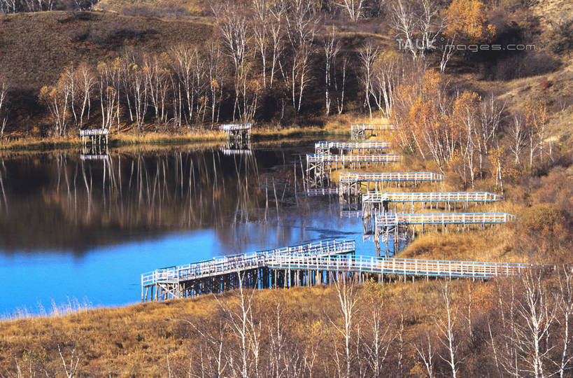无人,栏杆,横图,室外,白天,正面,旅游,度假,草地,草坪,河流,美景,秋季,树林,水,植物,阴影,光线,木板,影子,河水,景观,水流,围栏,桥,枝条,木桥,娱乐,护栏,栈桥,草,树,树木,树枝,绿色,倒影,阳光,自然,享受,休闲,景色,放松,生长,成长,人行桥,木板桥,倒映,自然风光,反照,虬枝,枝杈,秋,秋天,彩图,shgzq1