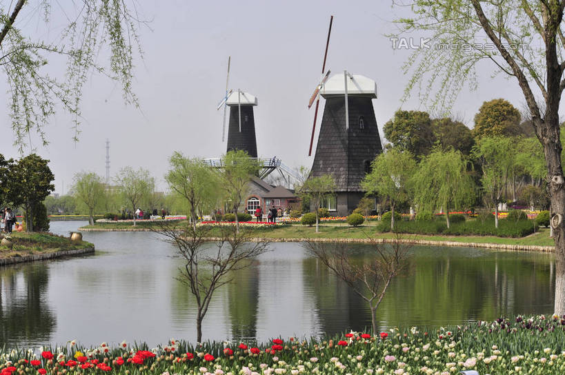 无人,横图,室外,白天,正面,爱情,旅游,度假,草地,草坪,花海,花圃,美景,树林,植物,郁金香,叶子,上海,中国,亚洲,阴影,盛开,光线,影子,景观,祝福,花蕾,娱乐,浦东,草,花,花瓣,花朵,花卉,鲜花,树,树木,蓝色,绿色,蓝天,天空,阳光,自然,花丛,花束,花田,天,花苞,花蕊,享受,休闲,景色,放松,生长,晴朗,成长,申,表白,自然风光,荣誉,浦东新区,东亚,上海市,上海鲜花港,龙阳路,万里无云,中华人民共和国,沪,华东地区,永恒,晴空,晴空万里,郁香,洋荷花,草麝香,彩图,shlbh1