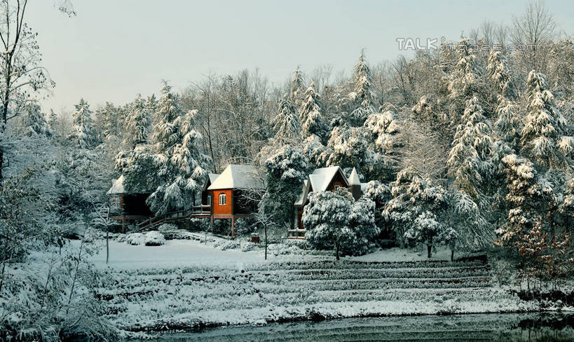 无人,家,横图,室外,白天,正面,旅游,度假,美景,树林,雪,植物,大雪,别墅,窗户,建筑,阴影,光线,影子,房屋,阶梯,屋子,积雪,景观,雪景,冬季,冬天,公寓,娱乐,建设,洋房,楼房,玻璃窗,台阶,住宅,树,树木,绿色,天空,阳光,自然,天,享受,休闲,石阶,景色,放松,寒冷,生长,成长,自然风光,严寒,彩图,房子,shlmx1