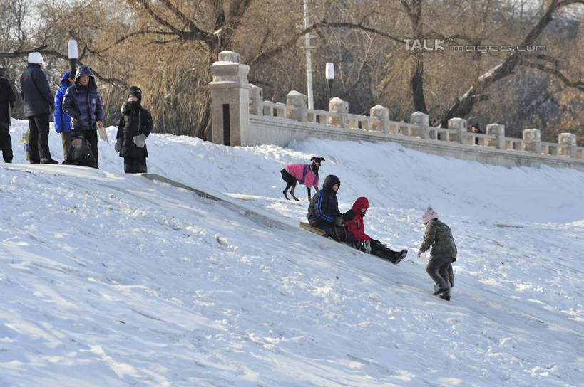 东方人,体育馆,栏杆,运动场,站,坐,横图,室外,白天,正面,旅游,度假,美景,雪,植物,大雪,中国,亚洲,行人,游客,游人,阴影,服装,光线,影子,积雪,景观,雪景,冬季,冬天,围栏,许多人,注视,黄种人,娱乐,体育场,护栏,路人,旅客,车,树,树木,衣服,绿色,阳光,自然,交通工具,观察,看,站着,一群人,享受,休闲,滑雪场,温暖,景色,放松,寒冷,服饰,生长,成长,观看,保暖,黑,雪橇,察看,御寒,关注,自然风光,载具,雪橇车,滑雪服,东亚,黑龙江,黑龙江省,佳木斯,中华人民共和国,运动馆,严寒,东北地区,佳木斯市,过客,竞技服,旅游服,冬装,男人,男性,年轻男性,年轻女性,女人,女性,亚洲人,站立,坐着,半身,彩图,shlyb1