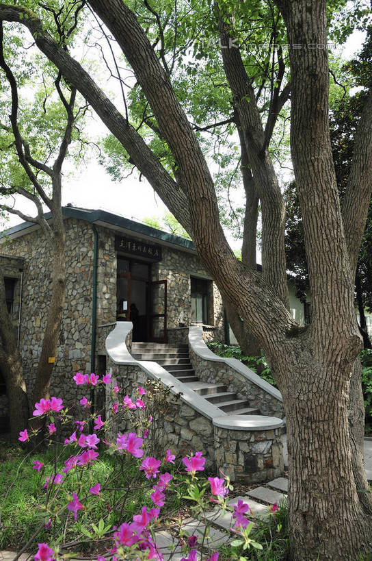 无人,家,竖图,室外,白天,正面,旅游,度假,草地,草坪,花海,花圃,美景,植物,叶子,武汉,中国,亚洲,盛开,房屋,屋子,景观,花蕾,娱乐,楼房,住宅,草,花,花瓣,花朵,花卉,鲜花,树,树木,绿色,自然,花丛,花束,花田,花苞,花蕊,享受,休闲,景色,放松,生长,成长,自然风光,东亚,湖北,湖北省,武汉市,中华人民共和国,省会,华中地区,鄂,彩图,房子,武汉东湖,武汉东湖风景区,shlyb1