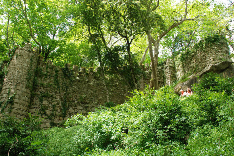 无人,横图,室外,白天,仰视,旅游,度假,石头,森林,树林,植物,标志建筑,地标,建筑,葡萄牙,欧洲,阴影,光线,石子,影子,堡垒,城堡,墙,建筑群,首都,娱乐,建设,里斯本,摩尔人城堡,辛特拉,墙壁,墙面,树,树木,绿色,阳光,自然,享受,休闲,旅游胜地,放松,生长,成长,要塞,南欧,葡萄牙共和国,设防,石块,彩图,低角度拍摄,shqxy1