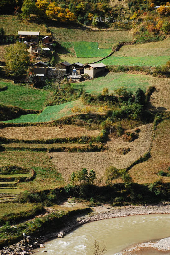 无人,家,农田,竖图,俯视,室外,白天,旅游,度假,庄稼,梯田,农作物,美景,森林,树林,植物,中国,亚洲,阴影,曲折,弯曲,光线,影子,房屋,屋子,景观,娱乐,楼房,迪庆,云南,住宅,树,树木,绿色,阳光,自然,享受,休闲,景色,放松,蜿蜒,生长,成长,自然风光,东亚,迪庆藏族自治州,云南省,中华人民共和国,西南地区,滇,迪庆州,彩图,高角度拍摄,耕地,庄稼田,房子,shqxy1