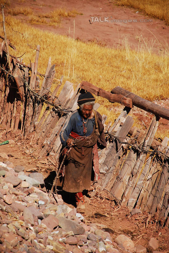 东方人,一个人,农民,农场,栏杆,走,竖图,俯视,室外,白天,民族服装,旅游,度假,畜牧业,牧场,美景,植物,中国,亚洲,仅一个男性,仅一个人,握,阴影,服装,枯萎,光线,影子,栅栏,景观,篱笆,围栏,枯草,拿,拿着,注视,黄种人,娱乐,护栏,芒康,西藏,草,仅一个年轻男性,衣服,黄色,阳光,自然,观察,看,享受,休闲,景色,放松,握着,服饰,观看,察看,衣着,穿着,关注,自然风光,藏,东亚,西藏自治区,畜牧,中华人民共和国,西南地区,牧业,衣饰,男人,男性,年轻男性,亚洲人,佃农,农场主,农夫,农工,乡下人,小农,庄稼人,步行,散步,走路,彩图,高角度拍摄,全身,传统服装,民俗服,芒康县,shqxy1