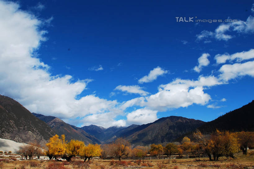 无人,横图,室外,白天,正面,旅游,度假,石头,美景,森林,山,山脉,树林,植物,中国,亚洲,阴影,光线,石子,影子,景观,山顶,山峰,云,云朵,山峦,云彩,娱乐,林芝,西藏,雅鲁藏布江,树,树木,蓝色,绿色,白云,蓝天,天空,阳光,自然,群山,天,享受,休闲,景色,放松,生长,晴朗,成长,自然风光,藏,东亚,西藏自治区,中华人民共和国,西南地区,颠峰,极峰,石块,晴空,彩图,林芝地区,shqxy1