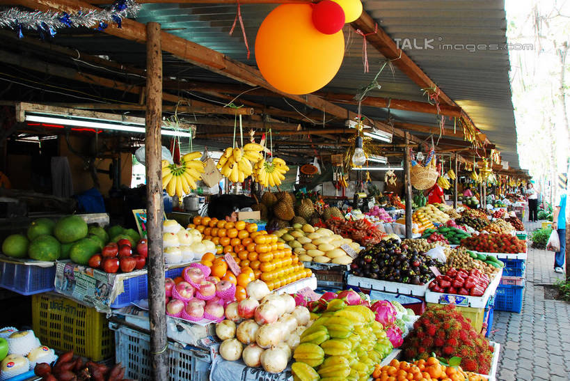 无人,横图,室外,白天,正面,购物,消费,柑橘,水果,一堆,许多,堆叠,堆积,新鲜,生食,食品,果实,集市,市场,很多,火龙果,货架,架子,食物,杨桃,青龙果,金融,有机食品,绿色食品,红毛丹,堆,五敛子,三廉子,阳桃,洋桃,陈列架,选购,贸易,韶子,毛龙眼,毛荔枝,柑桔,橘子,桔子,彩图,大红蜜橘,大红袍,红橘,黄橘,宽皮橘,蜜橘,shqxy1