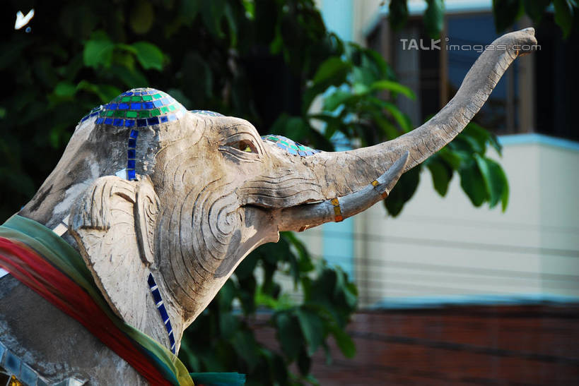 无人,家,站,横图,室外,白天,侧面,植物,哺乳动物,大象,野生动物,雕塑,泰国,亚洲,朦胧,模糊,艺术,装饰,雕刻,雕像,房屋,屋子,注视,楼房,住宅,树,树木,一只,绿色,自然,动物,工艺品,观察,看,站着,东南亚,生长,成长,观看,纪念,美术,察看,关注,主题,陈列,泰王国,清迈府,功能,美学,清迈省,象,站立,半身,彩图,房子,shqxy1