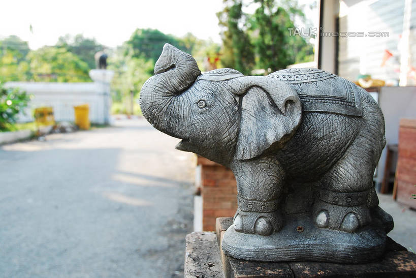 无人,家,站,横图,室外,白天,侧面,植物,哺乳动物,大象,野生动物,雕塑,泰国,亚洲,朦胧,模糊,艺术,装饰,雕刻,雕像,房屋,屋子,注视,楼房,住宅,树,树木,一只,绿色,自然,动物,工艺品,观察,看,站着,东南亚,生长,成长,观看,纪念,美术,察看,关注,主题,陈列,泰王国,清迈府,功能,美学,清迈省,象,站立,彩图,全身,房子,shqxy1