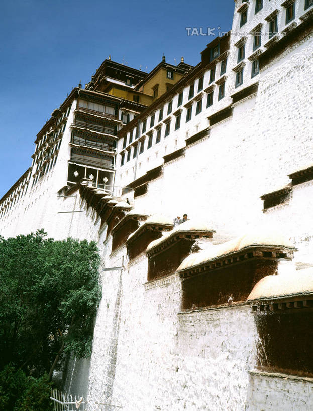 无人,家,栏杆,竖图,室外,白天,仰视,旅游,度假,名胜古迹,植物,楼梯,标志建筑,地标,建筑,阴影,遗迹,光线,扶手,影子,房屋,阶梯,屋子,建筑群,古迹,文物,娱乐,建设,古建筑,护栏,楼房,台阶,住宅,树,树木,蓝色,绿色,蓝天,天空,阳光,自然,天,享受,休闲,旅游胜地,瓦房,放松,生长,晴朗,成长,古文明,万里无云,晴空,晴空万里,彩图,低角度拍摄,房子,shrj1