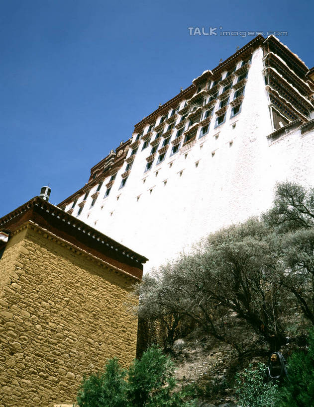 无人,家,栏杆,竖图,室外,白天,仰视,旅游,度假,名胜古迹,植物,楼梯,标志建筑,地标,建筑,阴影,遗迹,光线,扶手,影子,房屋,阶梯,屋子,建筑群,古迹,文物,娱乐,建设,古建筑,护栏,楼房,台阶,住宅,树,树木,蓝色,绿色,蓝天,天空,阳光,自然,天,享受,休闲,旅游胜地,瓦房,放松,生长,晴朗,成长,古文明,万里无云,晴空,晴空万里,彩图,低角度拍摄,房子,shrj1