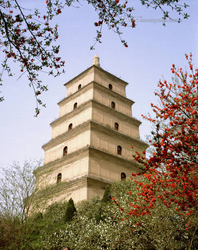 无人,竖图,室外,白天,仰视,旅游,度假,名胜古迹,树林,植物,标志建筑,地标,建筑,阴影,遗迹,光线,影子,塔,古迹,文物,娱乐,建设,古建筑,宝塔,佛塔,树,树木,蓝色,绿色,蓝天,天空,阳光,自然,天,享受,休闲,旅游胜地,放松,生长,晴朗,成长,古文明,万里无云,浮图,浮屠,晴空,晴空万里,彩图,低角度拍摄,塔婆,浮图塔,浮头,佛图,shrj1