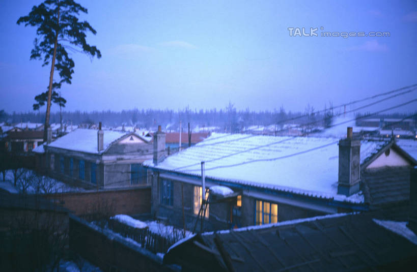 无人,家,横图,俯视,室外,白天,度假,美景,日落,植物,城市风光,城市,阴影,电力,光线,电线,电线杆,线,影子,房屋,屋子,景观,晚霞,霞光,落日,灯光,电能,线路,娱乐,楼房,住宅,树,树木,绿色,自然,黄昏,享受,休闲,瓦房,景色,彩霞,放松,生长,成长,电,电源,能量,夕照,薄暮,夕阳,彩图,高角度拍摄,傍晚,房子,斜阳,shrj1