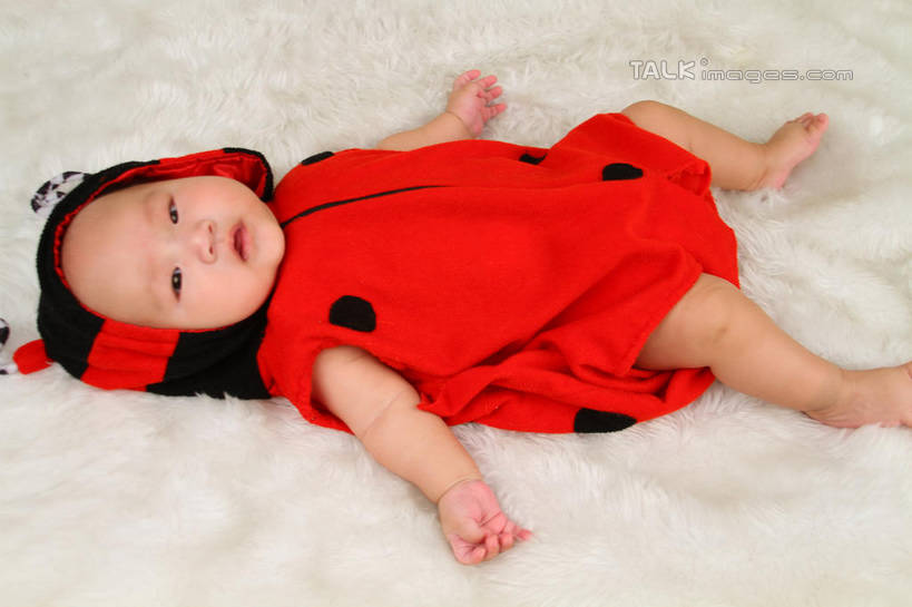 东方人,婴儿,儿童,一个人,躺,伸展双臂,横图,俯视,室内,白天,背景,纯洁,地毯,瓢虫,帽子,亚洲,仅一个人,服装,装饰,编织,手工艺品,织物,注视,黄种人,小孩,衣服,红色,工艺品,观察,看,可爱,摄影,服饰,活泼,影棚,观看,华丽,修饰,点缀,察看,衣着,穿着,关注,宝宝,表演服,演出服,纯真,烂漫,无邪,衬托,美观,雅致,雅观,衣饰,道具服,卧着,伶俐,天真,亚洲人,孩子,敞开双臂,伸开双臂,躺着,卧,展开双肩,张开手臂,张开双臂,布景,彩图,高角度拍摄,全身,影棚拍摄,拍摄,shsc1
