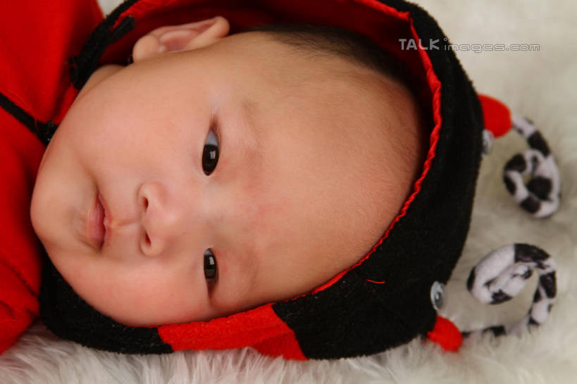 东方人,婴儿,儿童,脸,头,脸颊,一个人,躺,横图,俯视,室内,特写,白天,背景,纯洁,地毯,瓢虫,帽子,亚洲,仅一个人,服装,装饰,编织,手工艺品,织物,注视,黄种人,小孩,衣服,红色,工艺品,观察,看,可爱,摄影,服饰,活泼,影棚,观看,华丽,修饰,点缀,察看,衣着,穿着,关注,宝宝,表演服,演出服,纯真,烂漫,无邪,衬托,美观,雅致,雅观,衣饰,道具服,卧着,伶俐,天真,亚洲人,孩子,头部,脸部,脸蛋,面部,躺着,卧,半身,布景,彩图,高角度拍摄,影棚拍摄,拍摄,shsc1