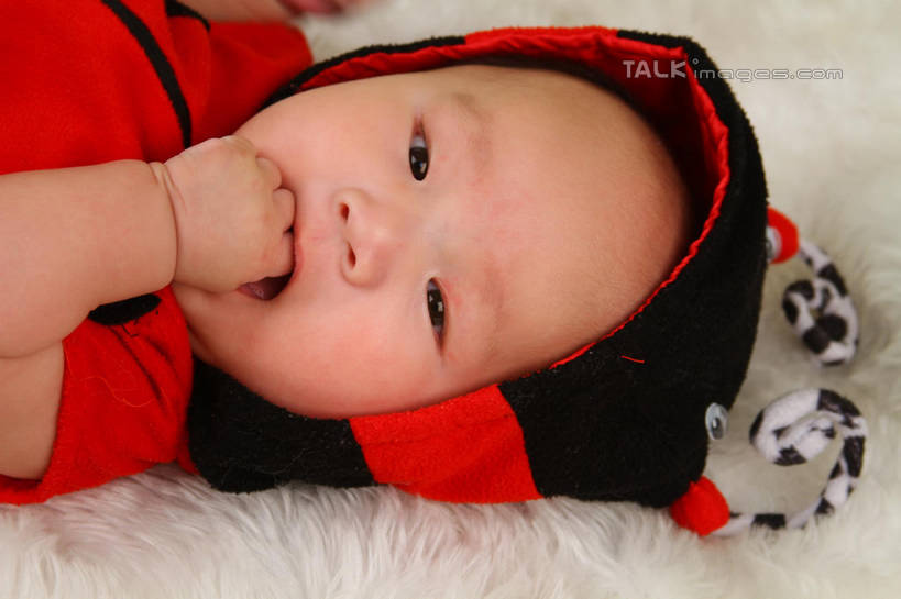 东方人,婴儿,儿童,脸,头,脸颊,手,一个人,躺,横图,俯视,室内,特写,白天,背景,纯洁,地毯,瓢虫,帽子,亚洲,仅一个人,咬,服装,装饰,编织,手工艺品,织物,注视,黄种人,小孩,衣服,红色,工艺品,观察,看,手部,可爱,摄影,服饰,活泼,影棚,观看,单手,华丽,修饰,点缀,咬着,察看,衣着,穿着,关注,宝宝,表演服,演出服,纯真,烂漫,无邪,衬托,美观,雅致,雅观,衣饰,道具服,卧着,伶俐,天真,亚洲人,孩子,头部,脸部,脸蛋,面部,躺着,卧,半身,布景,彩图,高角度拍摄,影棚拍摄,拍摄,shsc1