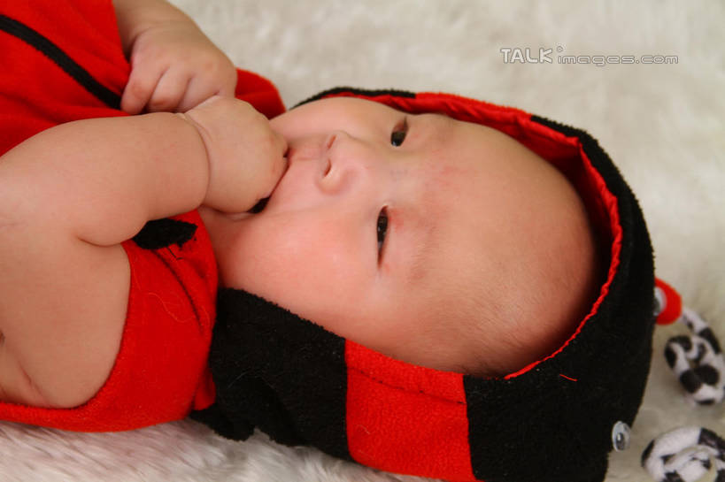 东方人,婴儿,儿童,脸,头,脸颊,手,一个人,躺,横图,俯视,室内,特写,白天,背景,纯洁,地毯,瓢虫,帽子,亚洲,仅一个人,咬,服装,装饰,编织,手工艺品,织物,注视,黄种人,小孩,衣服,红色,工艺品,观察,看,手部,可爱,摄影,服饰,活泼,影棚,观看,单手,华丽,修饰,点缀,咬着,察看,衣着,穿着,关注,宝宝,表演服,演出服,纯真,烂漫,无邪,衬托,美观,雅致,雅观,衣饰,道具服,卧着,伶俐,天真,亚洲人,孩子,头部,脸部,脸蛋,面部,躺着,卧,半身,布景,彩图,高角度拍摄,影棚拍摄,拍摄,shsc1