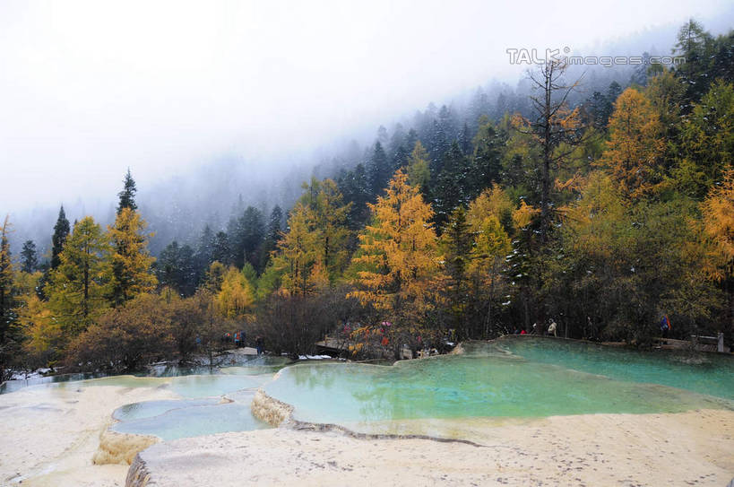 无人,横图,俯视,室外,白天,旅游,度假,草地,草坪,湖,湖泊,美景,山,树林,水,植物,雾,叶子,中国,亚洲,阴影,朦胧,模糊,反射,影子,湖面,景观,山峰,水流,水面,山峦,娱乐,草,树,树木,绿色,倒影,天空,自然,湖水,天,享受,休闲,景色,放松,四川省,生长,成长,迷雾,自然风光,东亚,四川,阿坝,中华人民共和国,西南地区,阿坝藏族羌族自治州,阿坝州,川,黄龙风景名胜区,黄龙风景区,松潘县,叶,叶片,彩图,高角度拍摄,shsgf1