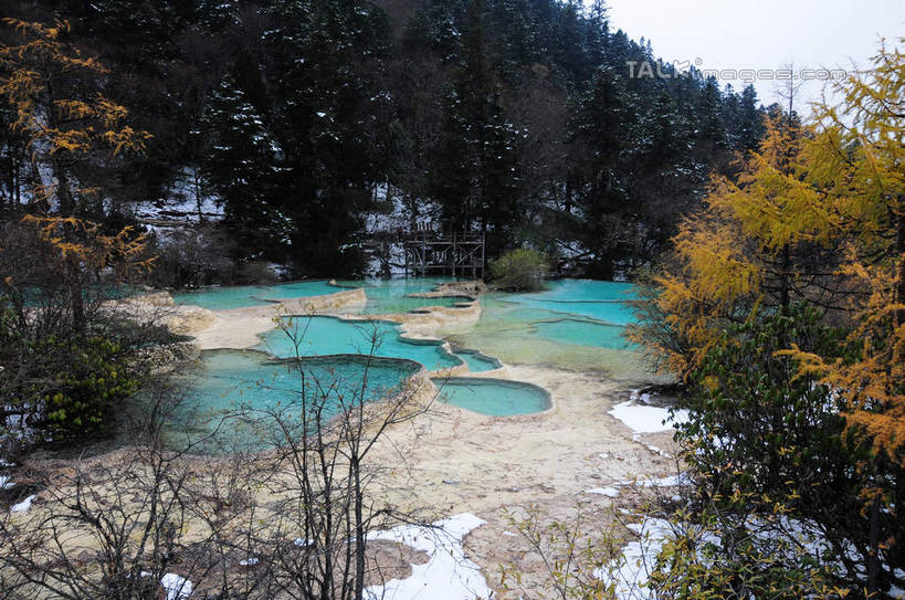 无人,横图,俯视,室外,白天,旅游,度假,草地,草坪,湖,湖泊,美景,山,树林,水,雪,植物,雾,大雪,叶子,中国,亚洲,阴影,朦胧,模糊,干枯,反射,影子,湖面,积雪,景观,山峰,水流,水面,雪景,冬天,枯树,枯枝,山峦,娱乐,草,树,树木,树枝,绿色,倒影,天空,自然,湖水,天,享受,休闲,景色,放松,寒冷,四川省,生长,成长,迷雾,自然风光,东亚,四川,阿坝,中华人民共和国,西南地区,严寒,阿坝藏族羌族自治州,阿坝州,川,黄龙风景名胜区,黄龙风景区,松潘县,叶,叶片,彩图,高角度拍摄,shsgf1
