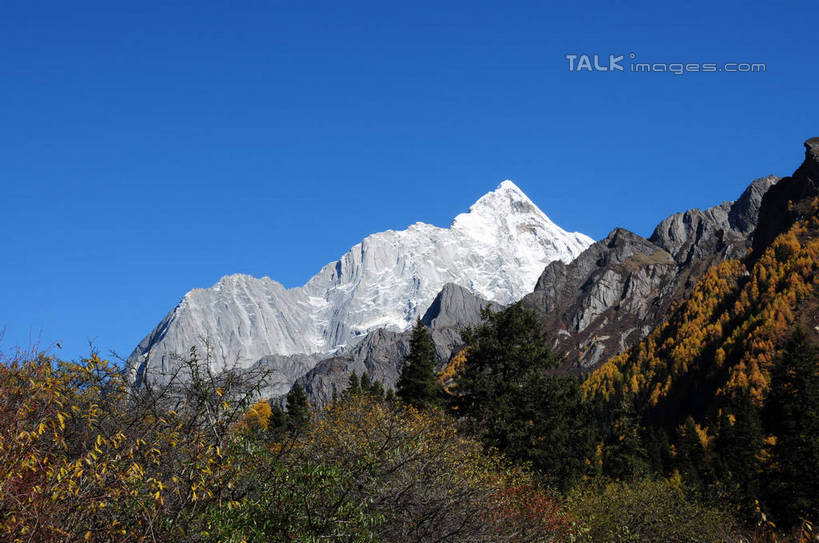 无人,横图,室外,白天,仰视,旅游,度假,草地,草坪,美景,山,树林,雪,雪山,植物,大雪,中国,亚洲,阴影,光线,影子,积雪,景观,山峰,雪景,冬天,山峦,娱乐,草,树,树木,蓝色,绿色,蓝天,天空,阳光,自然,天,享受,休闲,景色,放松,四川省,生长,成长,自然风光,东亚,四川,阿坝,中华人民共和国,西南地区,阿坝藏族羌族自治州,阿坝州,长坪沟,川,四姑娘山,彩图,低角度拍摄,shsgf1