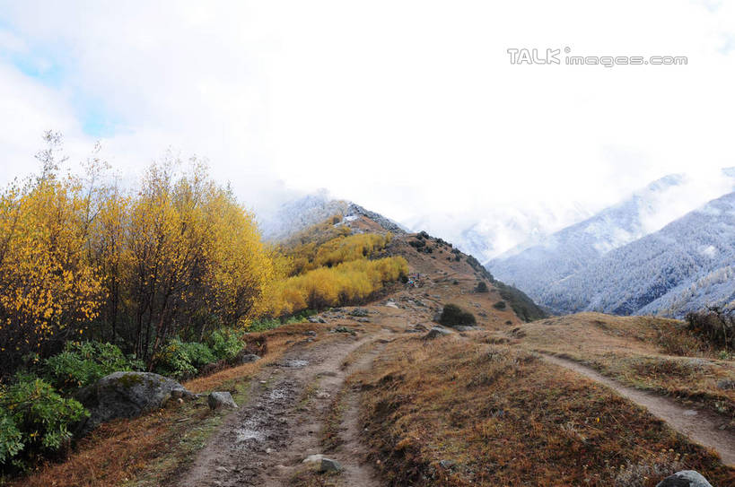 无人,横图,室外,白天,正面,旅游,度假,草地,草坪,石头,美景,山,树林,雪,雪山,植物,雾,大雪,中国,亚洲,许多,枯萎,朦胧,模糊,散落,石子,积雪,景观,山峰,山坡,雪景,冬天,枯草,山峦,娱乐,草,树,树木,蓝色,绿色,蓝天,天空,自然,天,享受,休闲,景色,放松,四川省,生长,成长,迷雾,自然风光,东亚,四川,阿坝,中华人民共和国,西南地区,阿坝藏族羌族自治州,阿坝州,川,海子沟,四姑娘山,石块,岩石,大雾,彩图,shsgf1