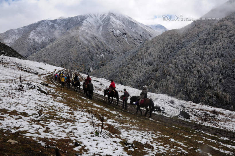 东方人,站,坐,横图,室外,白天,旅游,度假,草地,草坪,美景,山,树林,雪,雪山,植物,雾,大雪,马,中国,亚洲,许多,骑马,枯萎,朦胧,模糊,积雪,景观,山峰,山坡,雪景,云,云朵,冬天,枯草,山峦,许多人,云彩,黄种人,娱乐,马匹,草,树,树木,背面,蓝色,绿色,白云,蓝天,天空,自然,动物,天,站着,一群人,享受,休闲,景色,放松,四川省,生长,成长,迷雾,自然风光,东亚,四川,阿坝,中华人民共和国,西南地区,阿坝藏族羌族自治州,阿坝州,川,海子沟,四姑娘山,男人,男性,年轻男性,年轻女性,女人,女性,亚洲人,大雾,站立,坐着,彩图,全身,shsgf1