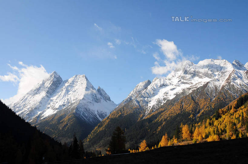 无人,横图,室外,白天,正面,旅游,度假,草地,草坪,美景,山,树林,雪,雪山,植物,大雪,中国,亚洲,阴影,光线,影子,积雪,景观,山峰,雪景,云,云朵,冬天,山峦,云彩,娱乐,草,树,树木,蓝色,绿色,白云,蓝天,天空,阳光,自然,天,享受,休闲,景色,放松,四川省,生长,成长,自然风光,东亚,四川,阿坝,中华人民共和国,西南地区,阿坝藏族羌族自治州,阿坝州,川,双桥沟,四姑娘山,彩图,shsgf1