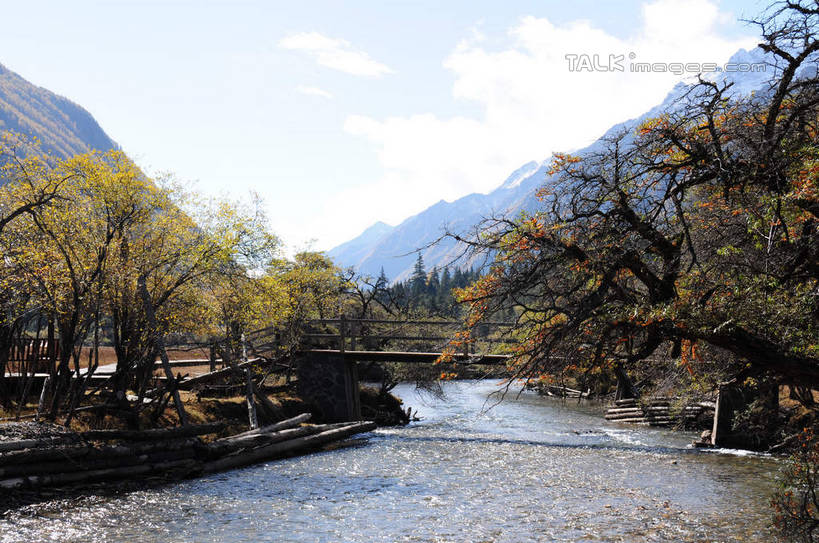 无人,横图,室外,白天,正面,旅游,度假,草地,草坪,河流,美景,山,树林,水,雪,雪山,植物,大雪,中国,亚洲,阴影,枯萎,光线,影子,河水,积雪,景观,山峰,水流,雪景,云,云朵,冬天,桥,枯草,山峦,云彩,娱乐,草,树,树木,蓝色,绿色,白云,蓝天,天空,阳光,自然,天,享受,休闲,景色,放松,四川省,生长,成长,人行桥,自然风光,东亚,四川,阿坝,中华人民共和国,西南地区,阿坝藏族羌族自治州,阿坝州,川,双桥沟,四姑娘山,彩图,shsgf1