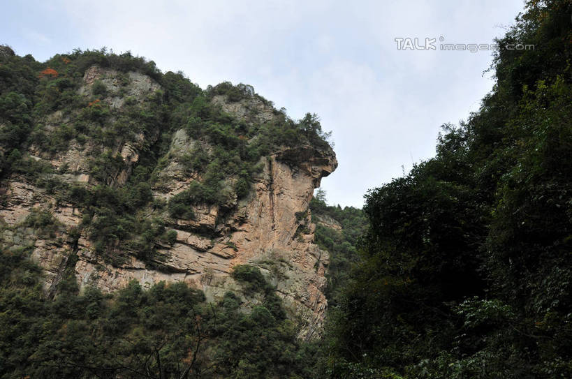 无人,横图,室外,白天,仰视,旅游,度假,美景,山,植物,张家界,中国,亚洲,阴影,光线,影子,景观,山峰,悬崖,山峦,娱乐,树,树木,绿色,天空,阳光,自然,天,享受,休闲,景色,放松,生长,成长,自然风光,东亚,湖南,湖南省,中华人民共和国,华中地区,湘,张家界市,武陵源区,宝峰湖,彩图,低角度拍摄,shsgf1