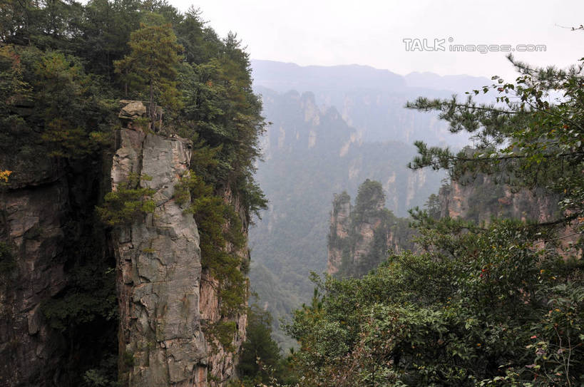 无人,横图,俯视,室外,白天,旅游,度假,石头,美景,山,植物,张家界,中国,亚洲,石子,景观,山峰,悬崖,山峦,娱乐,树,树木,绿色,天空,自然,天,享受,休闲,景色,放松,生长,成长,自然风光,东亚,湖南,湖南省,天子山,中华人民共和国,绝壁,华中地区,湘,张家界市,武陵源区,大观台,石块,岩石,彩图,高角度拍摄,shsgf1