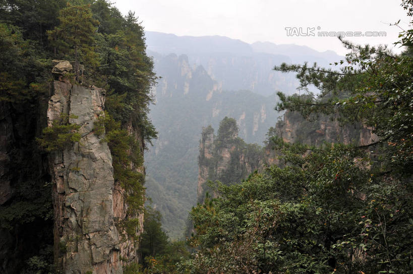 无人,横图,俯视,室外,白天,旅游,度假,石头,美景,山,植物,张家界,中国,亚洲,石子,景观,山峰,悬崖,山峦,娱乐,树,树木,绿色,天空,自然,天,享受,休闲,景色,放松,生长,成长,自然风光,东亚,湖南,湖南省,天子山,中华人民共和国,绝壁,华中地区,湘,张家界市,武陵源区,大观台,石块,岩石,彩图,高角度拍摄,shsgf1