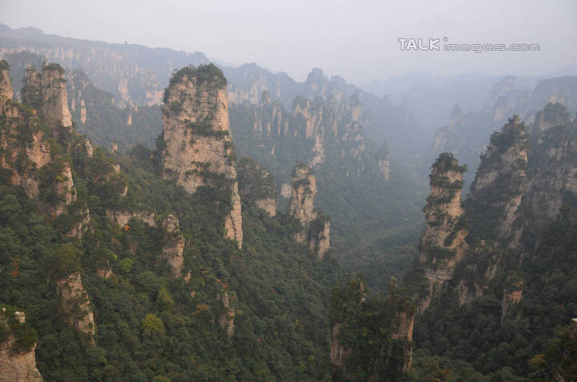 无人,横图,俯视,航拍,室外,白天,旅游,度假,美景,山,植物,张家界,中国,亚洲,景观,山峰,悬崖,山峦,娱乐,树,树木,绿色,天空,自然,天,享受,休闲,景色,放松,生长,成长,鸟瞰,自然风光,东亚,湖南,湖南省,天子山,中华人民共和国,绝壁,华中地区,湘,张家界市,武陵源区,大观台,彩图,高角度拍摄,shsgf1