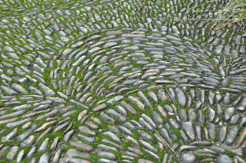 无人,横图,俯视,室外,白天,旅游,度假,石头,美景,道路,路,中国,亚洲,许多,环绕,围绕,石子,景观,小路,青苔,苔藓,地面,交通,娱乐,浙江,浙江省,排列,自然,享受,休闲,鹅卵石,景色,放松,队列,自然风光,按摩石,东亚,中华人民共和国,华东地区,浙,丽水,丽水市,缙云,缙云县,鼎湖峰,仙都,仙都风景名胜区,石块,彩图,高角度拍摄,shsgf1