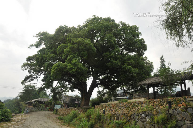 无人,横图,室外,白天,仰视,旅游,度假,草地,草坪,石头,美景,植物,道路,路,阴影,光线,石子,影子,墙,景观,小路,交通,娱乐,墙壁,墙面,草,树,树木,绿色,天空,阳光,自然,天,享受,休闲,景色,放松,生长,晴朗,成长,自然风光,万里无云,古韵画乡,石块,岩石,晴空,晴空万里,彩图,低角度拍摄,shsgf1