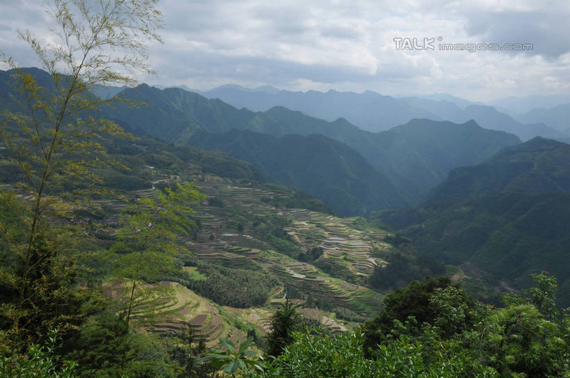 无人,横图,室外,白天,正面,旅游,度假,石头,美景,森林,山,山脉,树林,植物,中国,亚洲,阴影,光线,石子,影子,景观,山顶,山峰,云,云朵,山峦,云彩,娱乐,浙江,树,树木,浙江省,蓝色,绿色,白云,蓝天,天空,阳光,自然,群山,天,享受,休闲,景色,放松,生长,晴朗,成长,自然风光,东亚,沉积岩,中华人民共和国,华东地区,浙,丽水,丽水市,颠峰,极峰,水成岩,南尖岩,遂昌,石块,岩石,晴空,彩图,shsgf1
