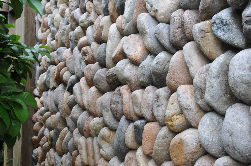 无人,横图,室外,白天,正面,旅游,度假,石头,美景,植物,叶子,中国,亚洲,一排,整齐,并列,并排,石子,景观,绿叶,娱乐,浙江,树,树木,浙江省,排列,绿色,自然,享受,休闲,嫩叶,景色,放松,生长,成长,队列,自然风光,平行,东亚,中华人民共和国,华东地区,浙,丽水,丽水市,南尖岩,遂昌,叶,叶片,石块,岩石,彩图,shsgf1