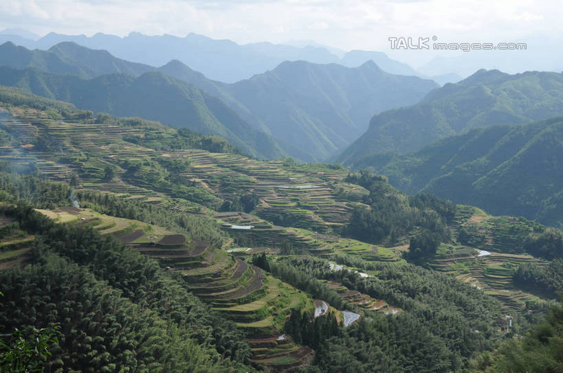 无人,农田,横图,室外,白天,正面,旅游,度假,庄稼,梯田,农作物,石头,美景,森林,山,山脉,树林,植物,中国,亚洲,阴影,曲折,弯曲,光线,石子,影子,景观,山顶,山峰,云,云朵,山峦,云彩,娱乐,浙江,树,树木,浙江省,蓝色,绿色,白云,蓝天,天空,阳光,自然,群山,天,享受,休闲,景色,放松,蜿蜒,生长,晴朗,成长,自然风光,东亚,沉积岩,中华人民共和国,华东地区,浙,丽水,丽水市,颠峰,极峰,水成岩,南尖岩,遂昌,石块,岩石,晴空,彩图,耕地,庄稼田,shsgf1