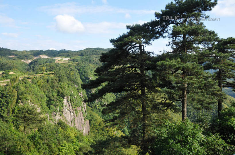 无人,横图,室外,白天,正面,旅游,度假,石头,美景,森林,山,山脉,树林,植物,中国,亚洲,阴影,光线,石子,影子,景观,山顶,山峰,云,云朵,山峦,云彩,娱乐,浙江,树,树木,浙江省,蓝色,绿色,白云,蓝天,天空,阳光,自然,群山,天,享受,休闲,景色,放松,生长,晴朗,成长,自然风光,东亚,沉积岩,中华人民共和国,华东地区,浙,丽水,丽水市,颠峰,极峰,水成岩,南尖岩,遂昌,石块,岩石,晴空,彩图,shsgf1