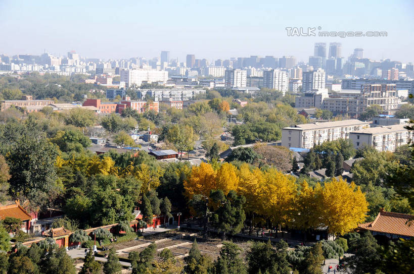 无人,高楼大厦,宫殿,横图,全景,俯视,航拍,室外,白天,度假,美景,树林,天际线,植物,城市风光,城市,大厦,建筑,摩天大楼,北京,中国,亚洲,阴影,光线,影子,景观,首都,娱乐,景山公园,树,树木,蓝色,绿色,蓝天,天空,阳光,自然,楼宇,天,享受,休闲,景色,放松,生长,晴朗,成长,宫廷,鸟瞰,东亚,万里无云,中华人民共和国,北京市,京,北平,华北地区,王宫,晴空,晴空万里,彩图,高角度拍摄,大楼,高层建筑,高楼,皇宫,摩天楼,shsgf1