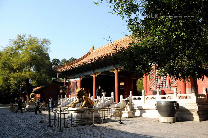 无人,故宫,宫殿,栏杆,横图,室外,白天,正面,旅游,度假,名胜古迹,植物,楼梯,标志建筑,地标,建筑,哺乳动物,野生动物,狮子,雕塑,北京,中国,亚洲,阴影,辟邪,遗迹,艺术,装饰,光线,雕刻,雕像,扶手,瓦片,影子,阶梯,屋顶,围栏,首都,顶棚,瓦,古迹,文化,文物,娱乐,建设,古建筑,护栏,石雕,台阶,树,树木,蓝色,绿色,蓝天,天空,阳光,自然,动物,工艺品,石狮,紫禁城,天,祈祷,享受,休闲,健康,旅游胜地,放松,许愿,建造,生长,晴朗,成长,纪念,祈求,美术,权利,主题,凶猛,陈列,古文明,东亚,屋瓦,万里无云,中华人民共和国,北京市,京,北平,华北地区,功能,美学,驱邪,祛邪,避邪,北京故宫博物院,守护神,残暴,平安,凶残,晴空,晴空万里,彩图,shsgf1