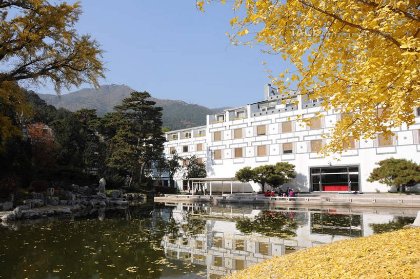 无人,餐厅,横图,室外,白天,正面,旅游,度假,湖,湖泊,美景,秋季,水,植物,叶子,北京,中国,亚洲,阴影,波纹,光线,影子,湖面,景观,水流,水面,果树,枯叶,落叶,柿子树,涟漪,首都,娱乐,树,树木,蓝色,绿色,倒影,蓝天,水纹,天空,阳光,自然,波浪,湖水,天,享受,休闲,景色,放松,生长,晴朗,成长,倒映,自然风光,东亚,黄栌,火炬树,紫叶小檗,紫叶李,香山饭店,香山公园,火杞,红叶小檗,红叶李,鹿角漆,万里无云,中华人民共和国,北京市,京,北平,华北地区,水晕,小檗,黄杨木,反照,叶,叶片,晴空,晴空万里,秋,秋天,彩图,餐馆,饭店,饭馆,樱桃李,黄栌木,黄栌树,黄栌台,摩林罗,乌牙木,烟树,shsgf1