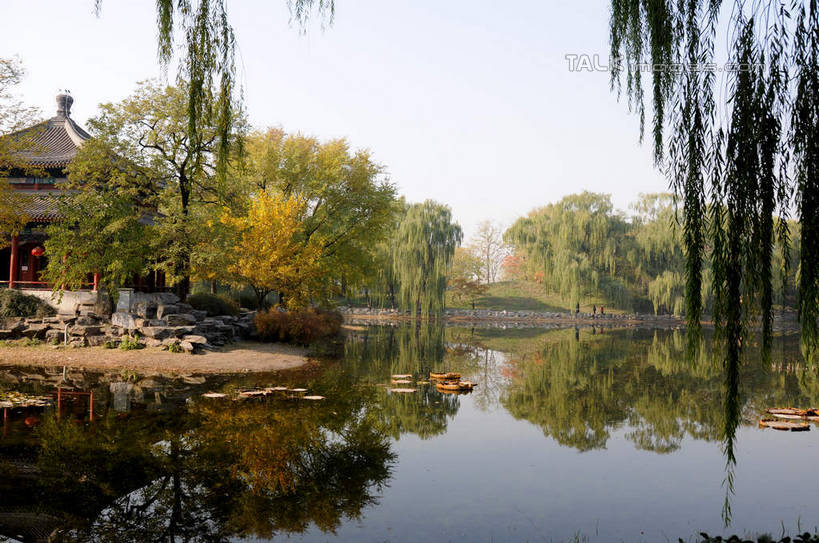 无人,公园,横图,室外,白天,正面,旅游,度假,湖,湖泊,名胜古迹,水,植物,标志建筑,地标,建筑,柳树,叶子,北京,圆明园,中国,亚洲,阴影,波纹,遗迹,光线,影子,亭子,湖面,水流,水面,荷叶,涟漪,首都,古迹,文物,娱乐,建设,古建筑,垂柳,树,树木,蓝色,绿色,倒影,蓝天,水纹,天空,阳光,自然,波浪,湖水,天,享受,休闲,旅游胜地,放松,生长,晴朗,成长,倒映,古文明,东亚,海淀区,万里无云,中华人民共和国,北京市,京,北平,华北地区,水晕,莲叶,倒挂柳,反照,叶,叶片,晴空,晴空万里,垂枝柳,彩图,圆明园遗址,圆明园遗址公园,shsgf1